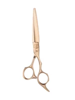 AURESANT Grace Series 440C professional cutting shears closed view